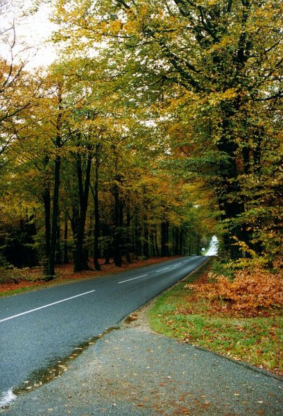 2001.11 DK 02.23 weg met herfstkleuren1